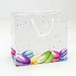 Darčeková taška - PT01-5009-01